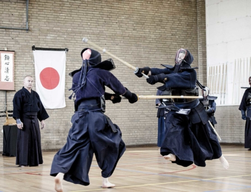 Manuel du Kendo